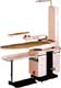 Naomoto FBJ-One Swing Arm
